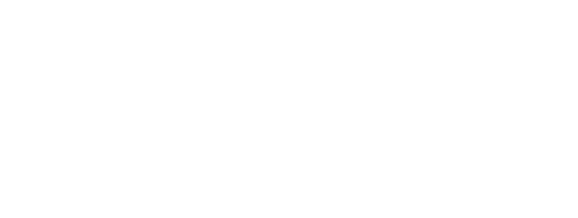 Spirit of Nursing